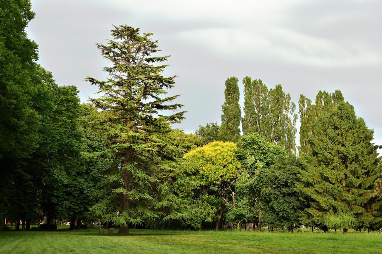 Villa Iachia Ruda Zewnętrze zdjęcie